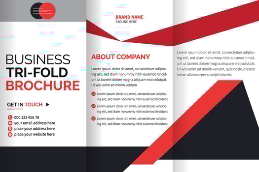 tri fold brochure design with space vector