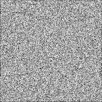 a black and white image of a square white noise texture vector
