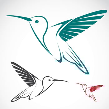 Vector image of an hummingbird