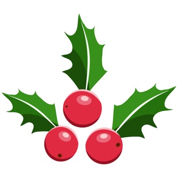 holly berry Christmas symbol vector illustration