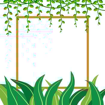 green leaves plant and vines with square frame border copy space for text, vector illustration. fronds square. flat design, tropical plant background, element, vacations, beach, jungle flora,