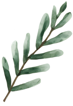 Leaf in Christmas. Generative AI png
