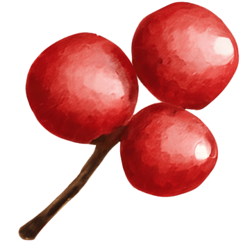 Berry, Christmas item. Generative AI png
