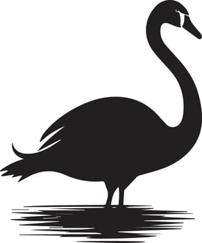 Swan vector silhouette illustration black color