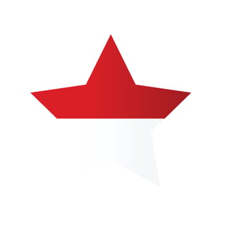 Geometry Indonesia Flag vector