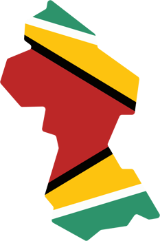 drawing of guyana flag map. png