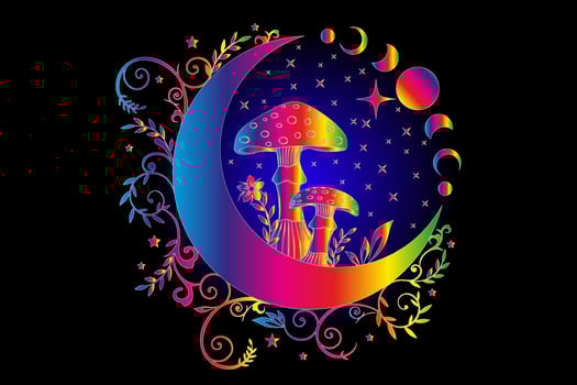 Celestial Mystical boho mushrooms, magic Amanita Muscaria with moon and stars, witchcraft symbol, witchy esoteric Psychedelic concept. Party rave, trance music, Moon Phase, floral elements on black vector