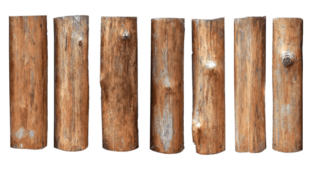 collection of various empty wood panel isolated on transparent background. PNG Format