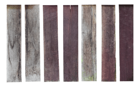 collection of various empty wood panel isolated on transparent background. PNG Format