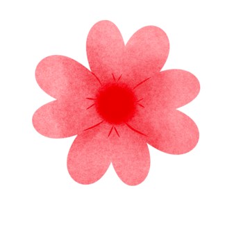 Cute flowers, shock-colored png