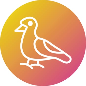 Seagull Vector Icon Design Illustration
