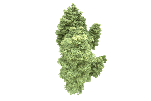 Realistic forest isolated on transparent background. 3d rendering - illustration png
