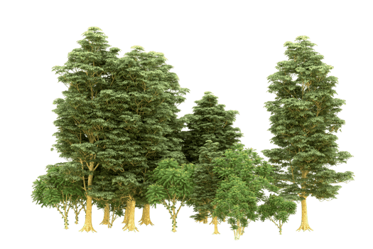 Realistic forest isolated on transparent background. 3d rendering - illustration png