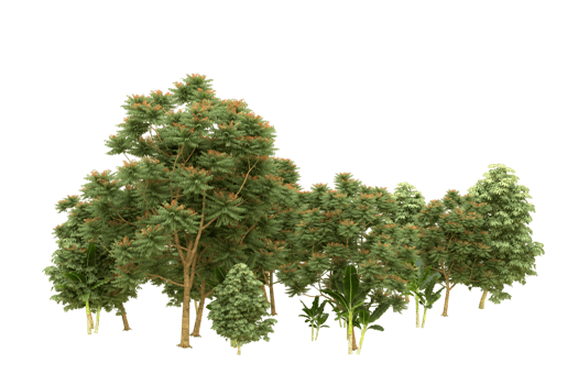 Realistic forest isolated on transparent background. 3d rendering - illustration png