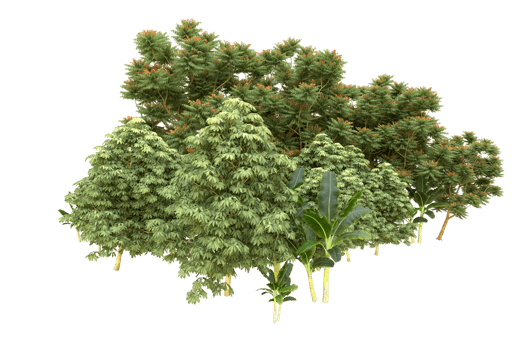 Realistic forest isolated on transparent background. 3d rendering - illustration png