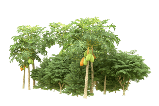 Realistic forest isolated on transparent background. 3d rendering - illustration png
