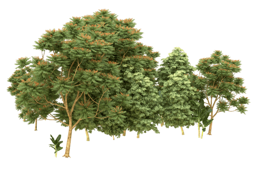 Realistic forest isolated on transparent background. 3d rendering - illustration png