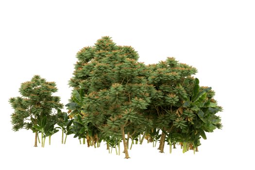 Realistic forest isolated on transparent background. 3d rendering - illustration png