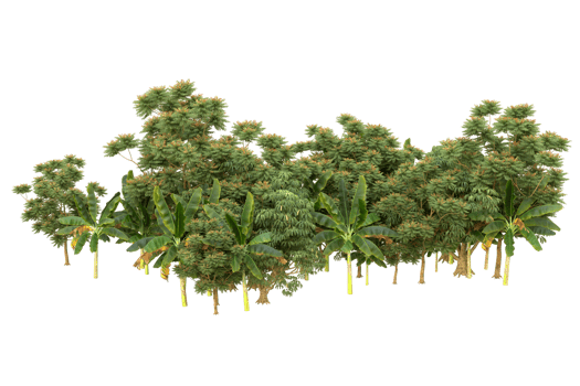 Realistic forest isolated on transparent background. 3d rendering - illustration png