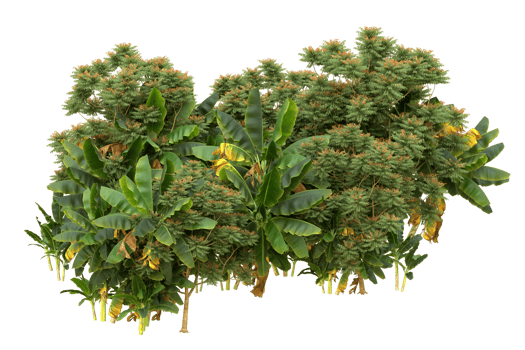 Realistic forest isolated on transparent background. 3d rendering - illustration png