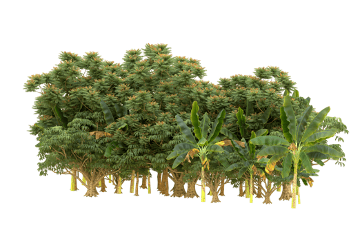 Realistic forest isolated on transparent background. 3d rendering - illustration png