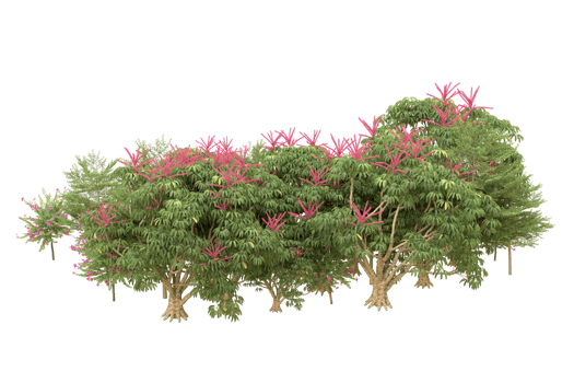 Realistic forest isolated on transparent background. 3d rendering - illustration png