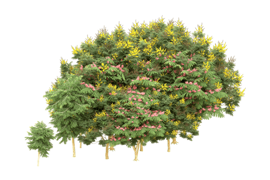 Realistic forest isolated on transparent background. 3d rendering - illustration png