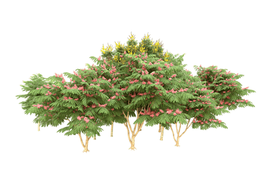 Realistic forest isolated on transparent background. 3d rendering - illustration png