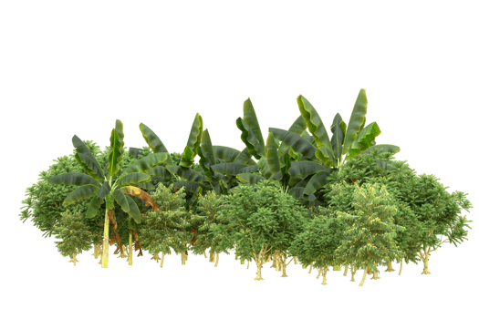 Realistic forest isolated on transparent background. 3d rendering - illustration png