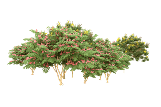 Realistic forest isolated on transparent background. 3d rendering - illustration png