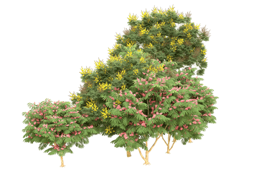 Realistic forest isolated on transparent background. 3d rendering - illustration png