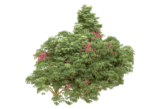 Realistic forest isolated on transparent background. 3d rendering - illustration png