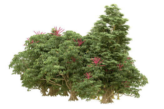 Realistic forest isolated on transparent background. 3d rendering - illustration png