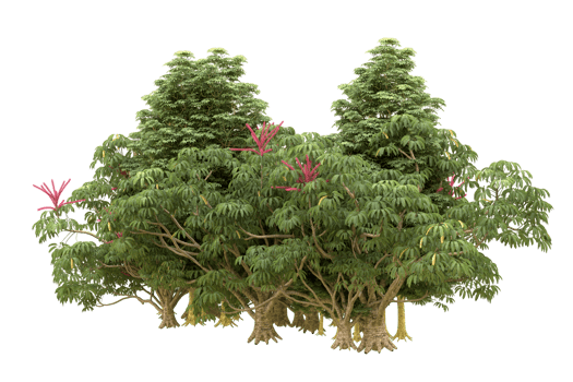 Realistic forest isolated on transparent background. 3d rendering - illustration png
