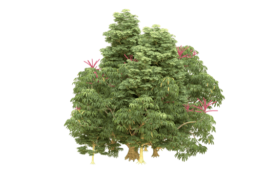 Realistic forest isolated on transparent background. 3d rendering - illustration png