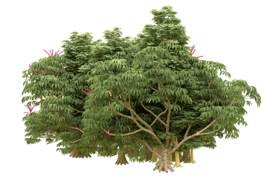 Realistic forest isolated on transparent background. 3d rendering - illustration png