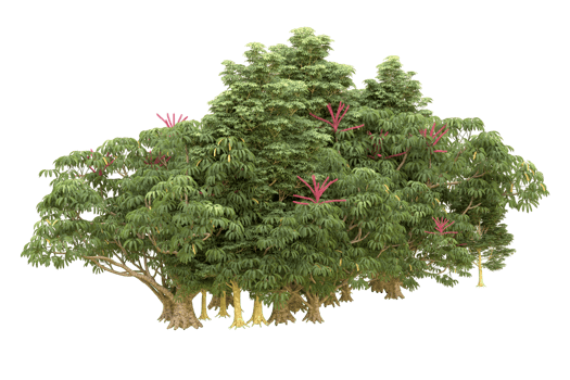 Realistic forest isolated on transparent background. 3d rendering - illustration png