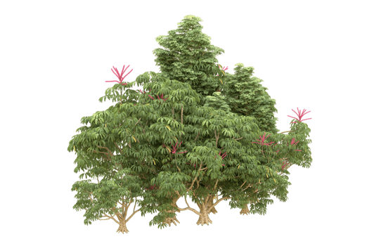 Realistic forest isolated on transparent background. 3d rendering - illustration png