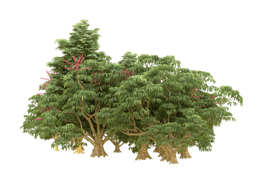 Realistic forest isolated on transparent background. 3d rendering - illustration png