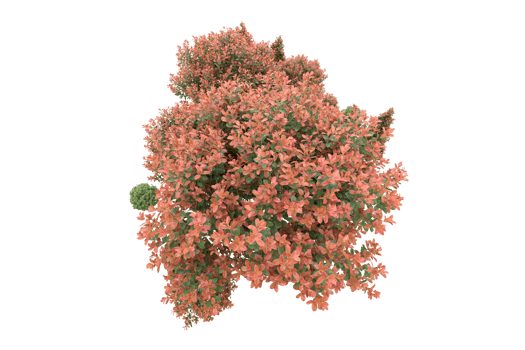 Realistic forest isolated on transparent background. 3d rendering - illustration png