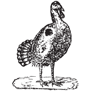 animal farm, animal wild png