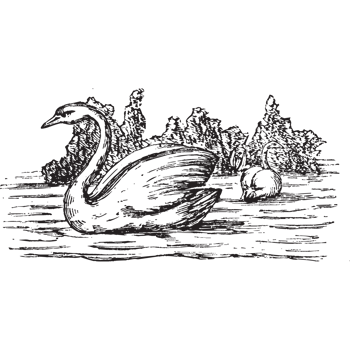 animal farm, animal wild png