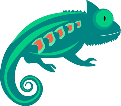 Chameleon, vector or color illustration.