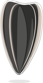 Clipart of a sunflower seed set isolated on white-colored background viewed from the front, vector or color illustration.