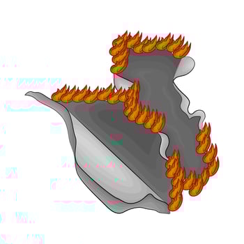 torn paper burns  illustration vector