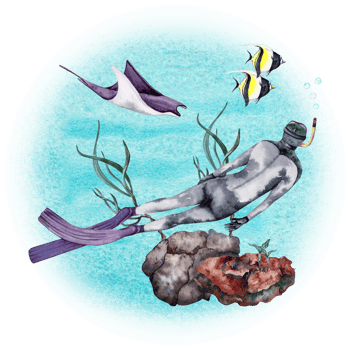 Sea life composition with a diver, coral reef, seaweed, marine animals and tropical fishes. Watercolor illustration on transparent background. For book, card, invitation, flyer, brochure designs png