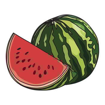 Watermelon vector illustration