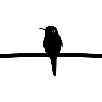 Perched Hummingbird Silhouette, can use Art Illustration, Website, Logo Gram, Pictogram or Graphic Design Element. Vector Illustration