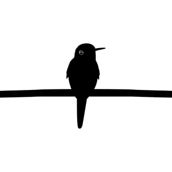 Perched Hummingbird Silhouette, can use Art Illustration, Website, Logo Gram, Pictogram or Graphic Design Element. Vector Illustration