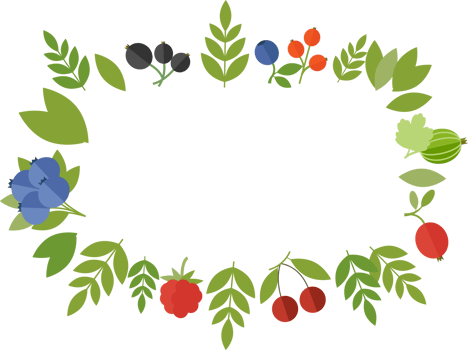Frame of berries - raspberry, currant, cranberry, cherries, blueberries, and green leaves in flat style png
